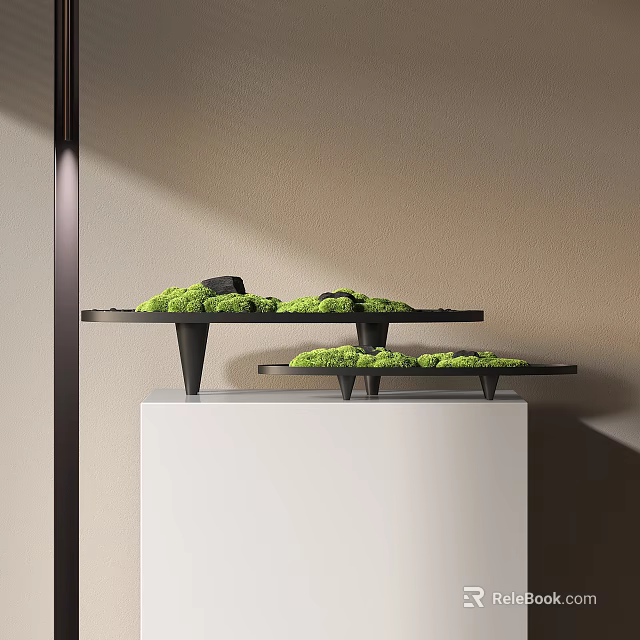 Moss Bonsai Potted Plants On Black Trays With White Cube Base And Soft Light 3d model 