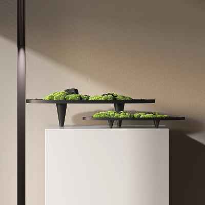 Moss Bonsai Potted Plants On Black Trays With White Cube Base And Soft Light 3d model
