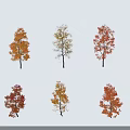 Trees With Red And Orange Foliage Standing On Snowy Ground Casting Shadows 3d model