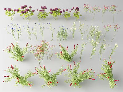 Colorful Assorted Flowers And Plants With Purple Pink White Blue Blooms For Decorative Design 3d model