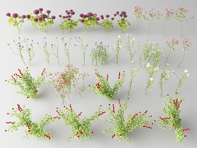 Modern flowers and plants model