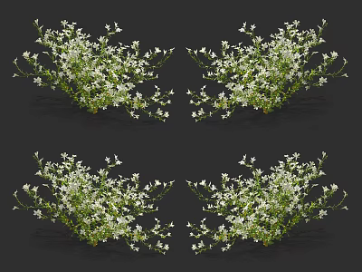 Clustered White Small Flowers With Green Leaves Decorative Garden Plants 3d model