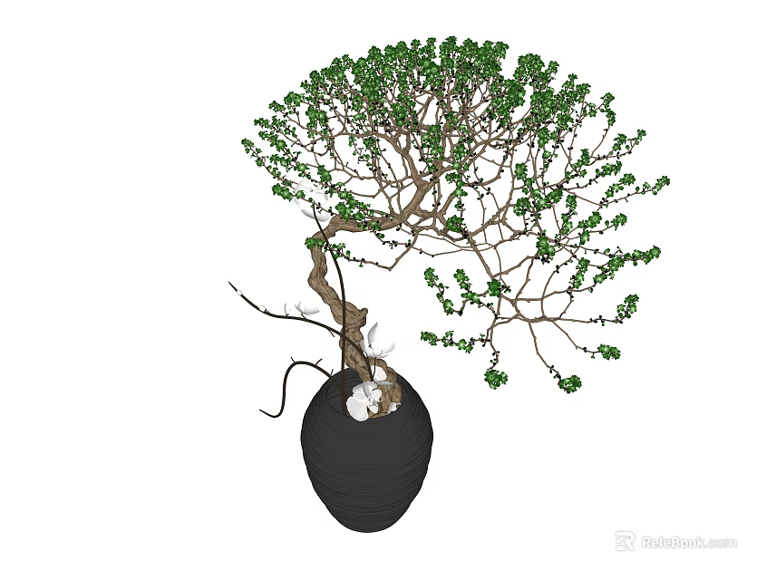 Bonsai Plant With Green Leaves Curved Trunk And Black Ceramic Pot 3d model 