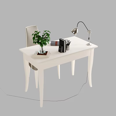White Study Desk With Green Plant Table Lamp Stack Of Books And Pen Holder 3d model
