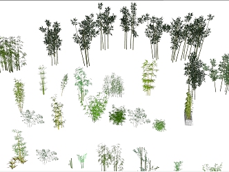 garden plant bamboo 3d model