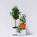 Modern potted combination 3d model