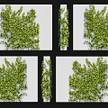Green Vines Decorative Plant Wall Covering With Lush Foliage And Natural Texture