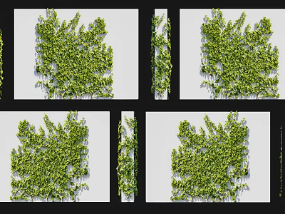 Green Vines Decorative Plant Wall Covering With Lush Foliage And Natural Texture 3d model