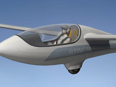 Flying Free Aircraft With Streamlined Design And Pilot In Transparent Cockpit 3d model