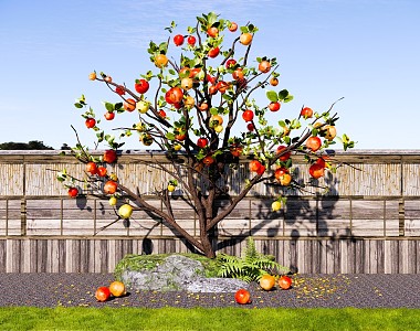 Tree Pomegranate Tree Garden Fruit Tree Landscape Modeling Flower Tree Pomegranate Fruit Tree Garden Landscape Tree 3d model