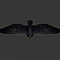 Black Bird With Spread Wings Standing on White Surface With Reflection 3d model