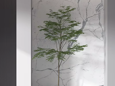 Landscape 3d model