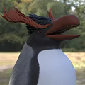 Flying Penguin With Black And White Feathers Red Crest Standing On Grassy Field