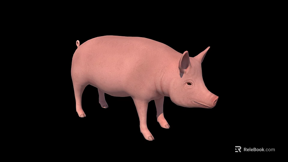 Realistic Pink Pig 3D Model With Smooth Skin On Black Background 3d model 