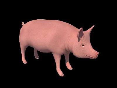 Realistic Pink Pig 3D Model With Smooth Skin On Black Background 3d model