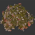 Bonsai Tree With Pink And Red Flowers In Square Brown Pot And Green Moss