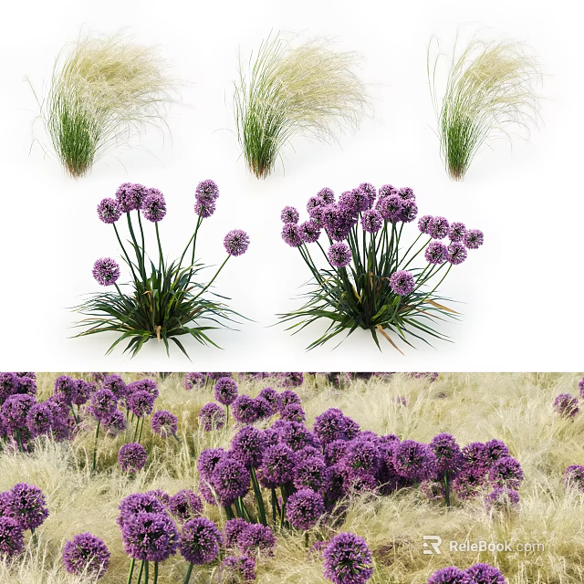 Blooming Purple Flower Clusters with Green Ornamental Grass in Garden Landscape Design 3d model 