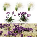 Blooming Purple Flower Clusters with Green Ornamental Grass in Garden Landscape Design