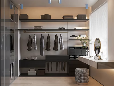 Modern Walk-in Closet Design Featuring Open Shelves Hanging Rods Storage Cabinets And Full Length Mirror 3d model