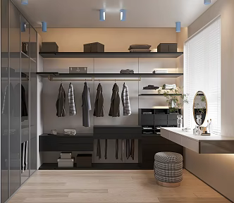Light Luxury Cloakroom 3d model