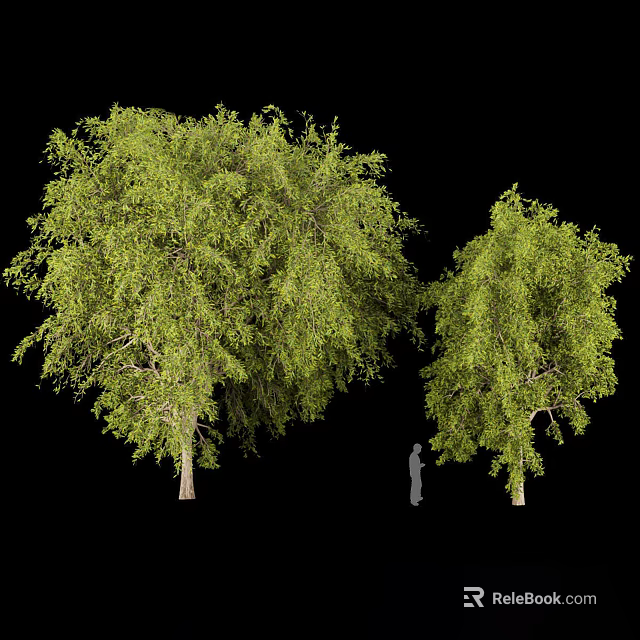 Tall Green Arbor Trees With Lush Foliage And Human Figure For Scale 3d model 