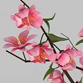 Tree Shaped Art Installation With Pink Blossoms Brown Trunk White Background And Shadow