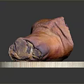 Fresh Animal Meat With Skin On Wooden Cutting Board Showing Red And Orange Color
