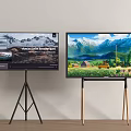 Two TVs with Different Stands Display Scenery and Product Interface