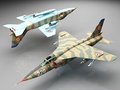 Two Military Aircraft Models With Camouflage Paint And Tail Fin Insignia Number 221 3d model