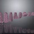 Pink Dresses Various Styles Including Layered Ruffled A line Designs on Gray Background with Reflections