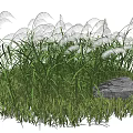 Lush Tall Grass with Feathery White Plumes and Natural Stone Accent