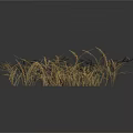 Dry Grass With Light Brown And Golden Thin Sparse Growth Against White Background