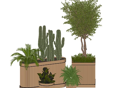 Decorative Bonsai Potted Plants With Cactus Palm And Small Tree In Wooden Planters 3d model