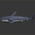3D Rendered Blue Shark with Open Mouth Sharp Teeth on Grey Background