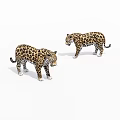 Two Spotted Leopards Standing On White Background In Wildlife