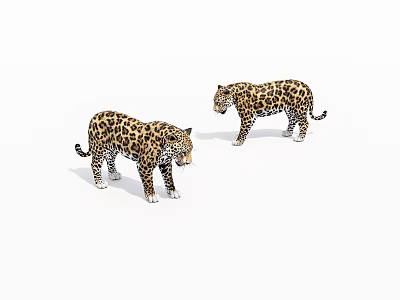animal jaguar 3d model animal jaguar 3d model