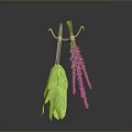 Green Leaf and Purple Lavender Plants Hanging with Gold Hooks on Gray Background