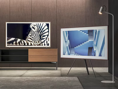 Two TVs Display Zebra And Blue Stairs On Stand Tripod With Dark Wall Floor Lamp 3d model