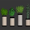 Indoor Potted Green Plants With Cylindrical Fabric Planters And Leafy Foliage
