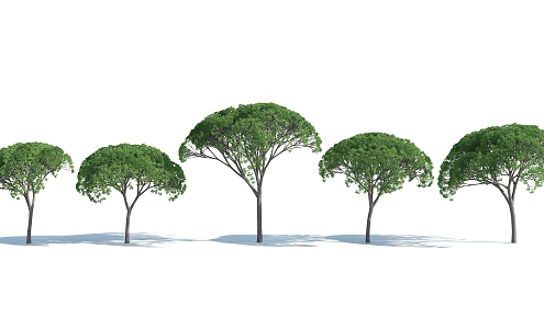 The Modern Tree 3d model