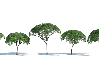 The Modern Tree 3d model