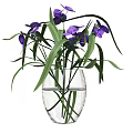 Transparent Glass Vase With Purple Flowers Green Leaves Water And Small Bottle