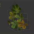 Colorful Green and Yellow Leaves with Gradient Tones on Gray Background Design