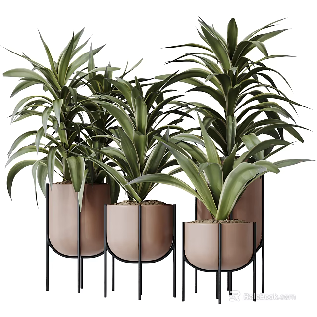 Green Leafy Potted Plants in Light Brown Pots with Black Metal Stands 3d model 
