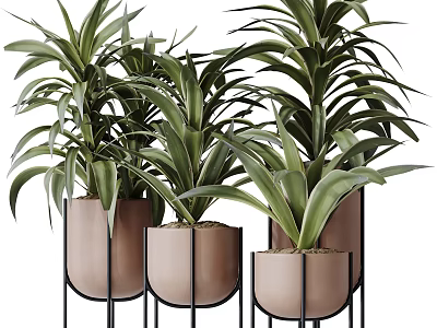 Green Leafy Potted Plants in Light Brown Pots with Black Metal Stands 3d model