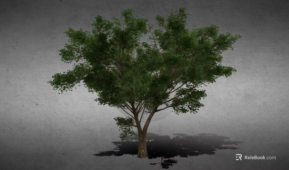 Lush Green Arbor With Strong Trunk And Natural Shadow In Outdoor Setting 3d model 