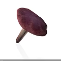 Vibrant Pinkish Purple Mushroom with Rounded Cap and Sturdy Stem on White Background