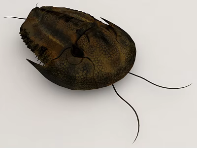 3D Model Of Ancient Arthropod With Textured Exoskeleton And Antennae 3d model