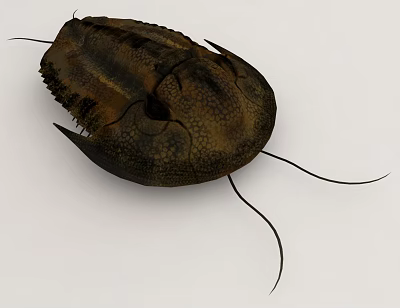 3D Model Of Ancient Arthropod With Textured Exoskeleton And Antennae 3d model 3D Model Of Ancient Arthropod With Textured Exoskeleton And Antennae 3d model