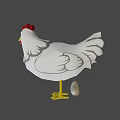Fresh Gray Eggs Beside White Chicken With Red Comb And Yellow Feet On Purple Background